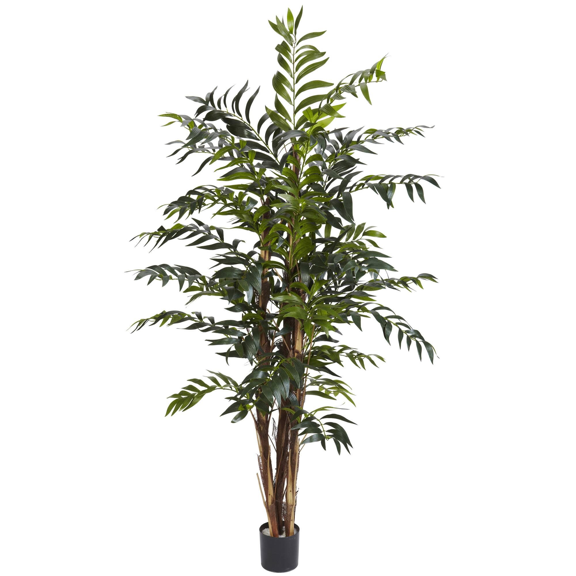 5ft. Potted Bamboo Tree